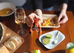 nuisance.tablecrab.scubadivingmag.june.jpg.webp