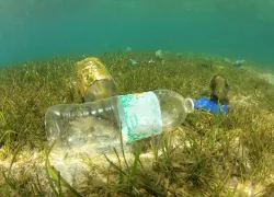 ocean-conservancy-study_plastic-.jpg.webp