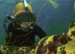 ocean-corp-cde-thumb_.jpg.webp