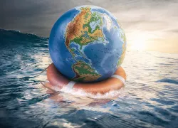 ocean-optimism.jpg.webp