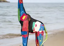 ocean-sole.jpg.webp