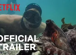 octopus-teacher-trailer-teaser-image_.jpeg.webp