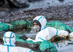oil-spill-mauritius-shutterstock-ohrim.jpg.webp