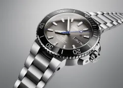 oris_hammerhead.jpg.webp