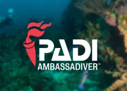 padi-ambassadiver-.png.webp