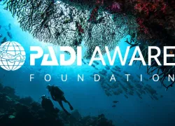 padi-aware-foundation.jpeg.webp