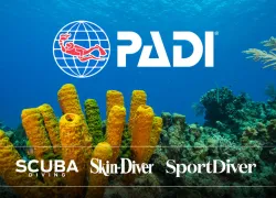 padi-bonnier-magazines-pr-image_.jpg.webp