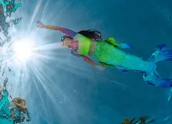 padi-mermaid-training-credit-padi.png.webp
