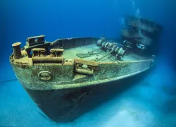 padi-travel-tips-cayman-islands-kittiwake.jpg.webp