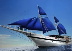 palau-siren.jpg.webp