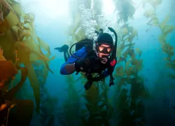 peak-performance-buoyancy-padi-.jpg.webp