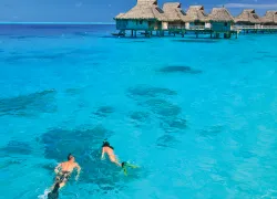 people-snorkeling-french-polynesia-shutterstock-juancat.jpg.webp