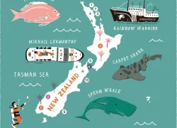 perfect--new-zealand-scu.jpg.webp