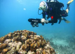 pete-on-scubajet-copy_v_edit.jpg.webp
