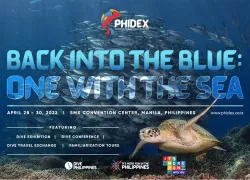 phidex_custom_article_x_image.png.webp