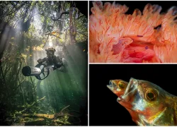photo-contest--teaser.png.webp