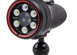 photo-with-ball-mount-light-and-motion.jpg.webp