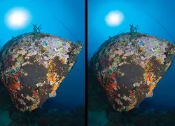 photoshop-editing-sunballs-underwater-photos.jpg.webp