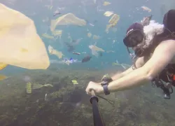 plastic-debris-bali-video.jpg.webp