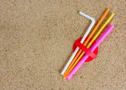 plastic-straws-shutterstock-kanittha-boon.jpg.webp