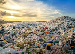 plastic-waste-shutterstock-mohamed-abdulraheem.jpg.webp