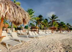 plaza_new_image-_x_.jpg.webp