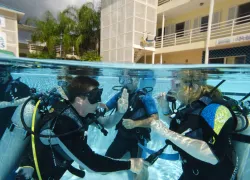 pool_training_sm_.jpg.webp