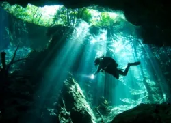 pro-dive-mexico--_.jpg.webp