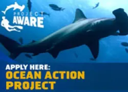 project-aware-ocean-action_thumb.jpg.webp