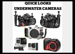 quick-looks-underwater-cameras.jpg.webp