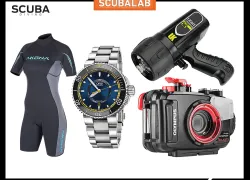 quicklooks-aug--teaser.jpg.webp