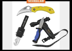 quicklooks-march-scuba-gear_.jpg.webp