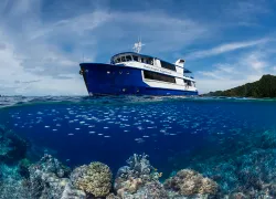 raja-ampat-aggressor-reef--hi-res.jpg.webp