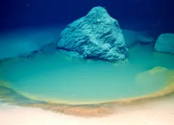 rare-deep-sea-brine-pool-university-of-miami.jpeg.webp
