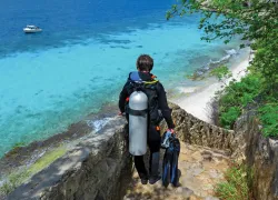 readers-choice--bonaire--steps-shore-diver.jpg.webp