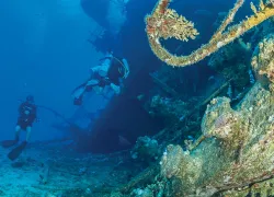 red-sea-aggressor-.jpg.webp