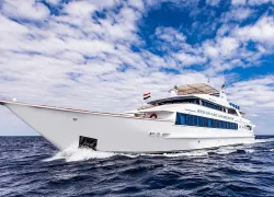 red-sea-re-aggressor-courtesy-image.jpg.webp