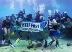 reeffest.jpg.webp