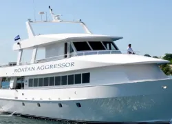 roatan_aggressor_press_release.jpg.webp