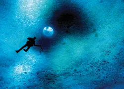 ross-sea-turtle-rock-ice-john-weller_scd.jpg.webp