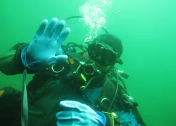 rs_shutterstock_.jpg.webp