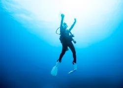 rs_shutterstock_.jpg.webp