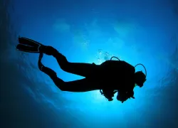 rs_shutterstock_.jpg.webp