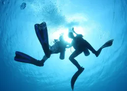rs_shutterstock_.jpg.webp