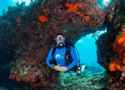 samantha-whitcraft-underwater-may-sea-hero.jpg.webp