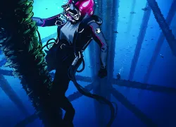 saturation_diver_light.jpg.webp