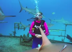 sc_shark-week_fb.jpg.webp