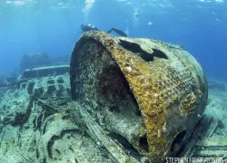 scd_top__wreck_.jpg.webp