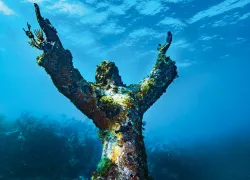 scd_idoljennifer_keylargo.jpg.webp