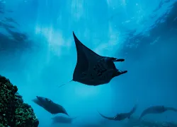 scd_todd-winner-a.jpg.webp